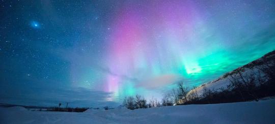 Cesine Actualidad/ News - Elsa Rodriguez